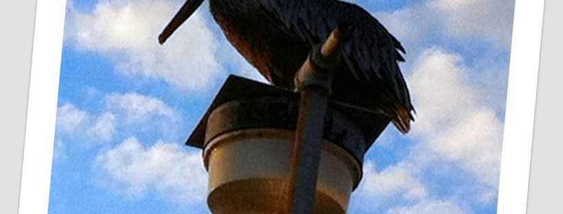 Patiently Waiting ...